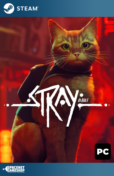 Stray Steam [Online + Offline]
